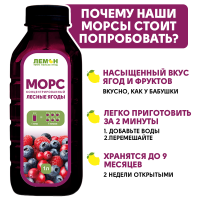 Сироп Лесные ягоды 5С-13, 5л